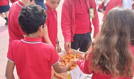 Programa de Fomento de consumo de Frutas y hortalizas de la Conselleria de Educación